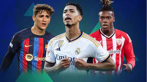 有多功能性 有多功能性